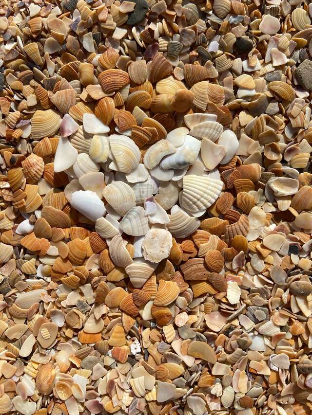 Гостиница Космос Витязево-141