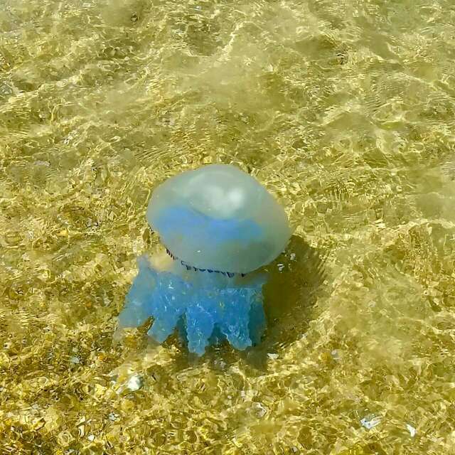 Гостиница Космос Витязево-144